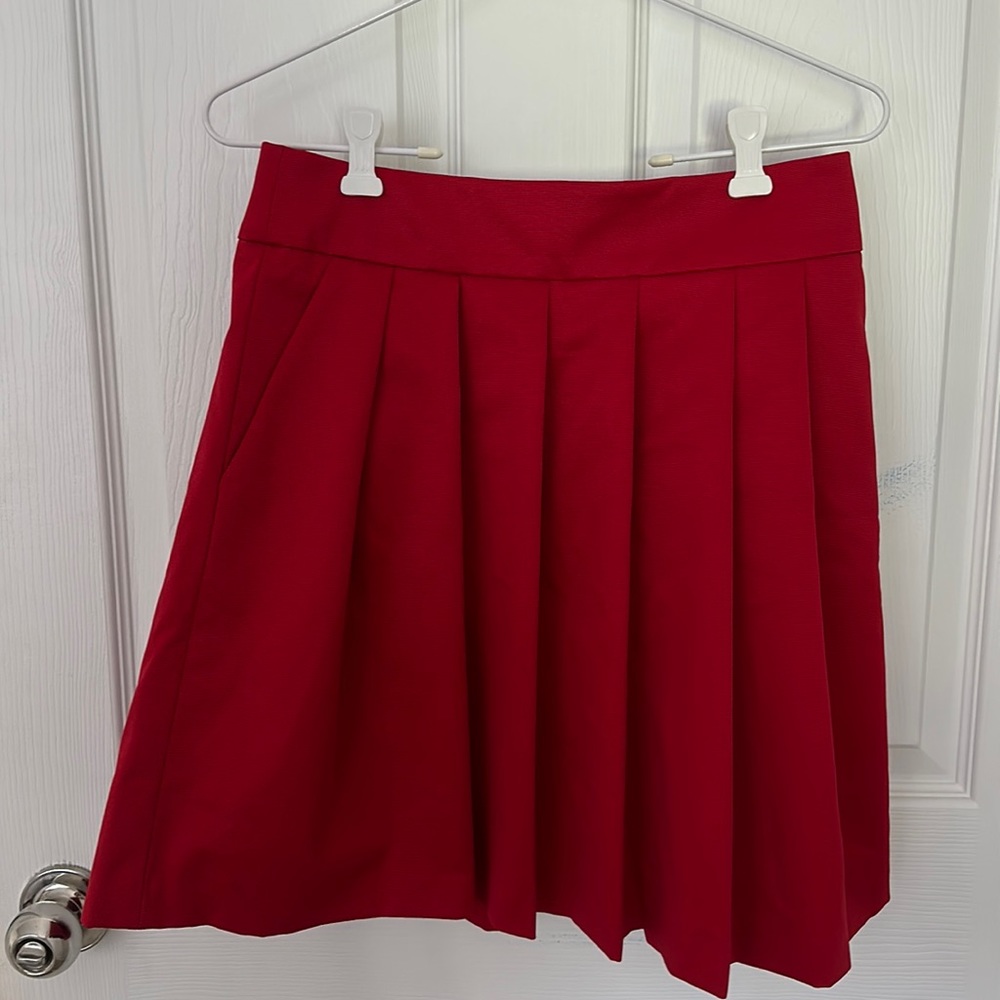 Ann Taylor pleated skirt